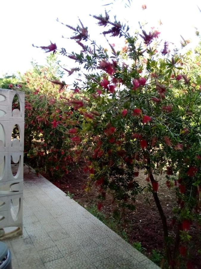 Villa Grazia ヴィエステ エクステリア 写真
